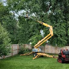 Best Organic Lawn Care Solutions  in Spring Green, WI