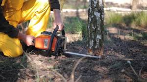 Best Lawn Grading and Leveling  in Spring Green, WI