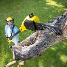 Soil Testing and Treatment in Spring Green, WI