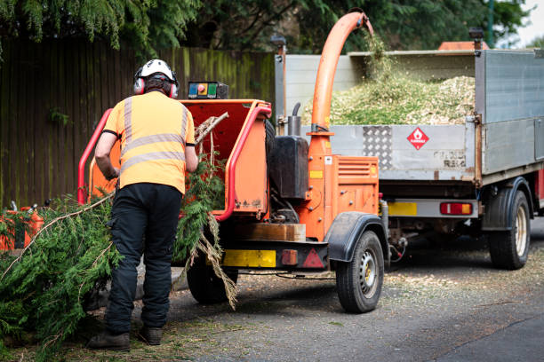 Best Fruit Tree Pruning  in Spring Green, WI